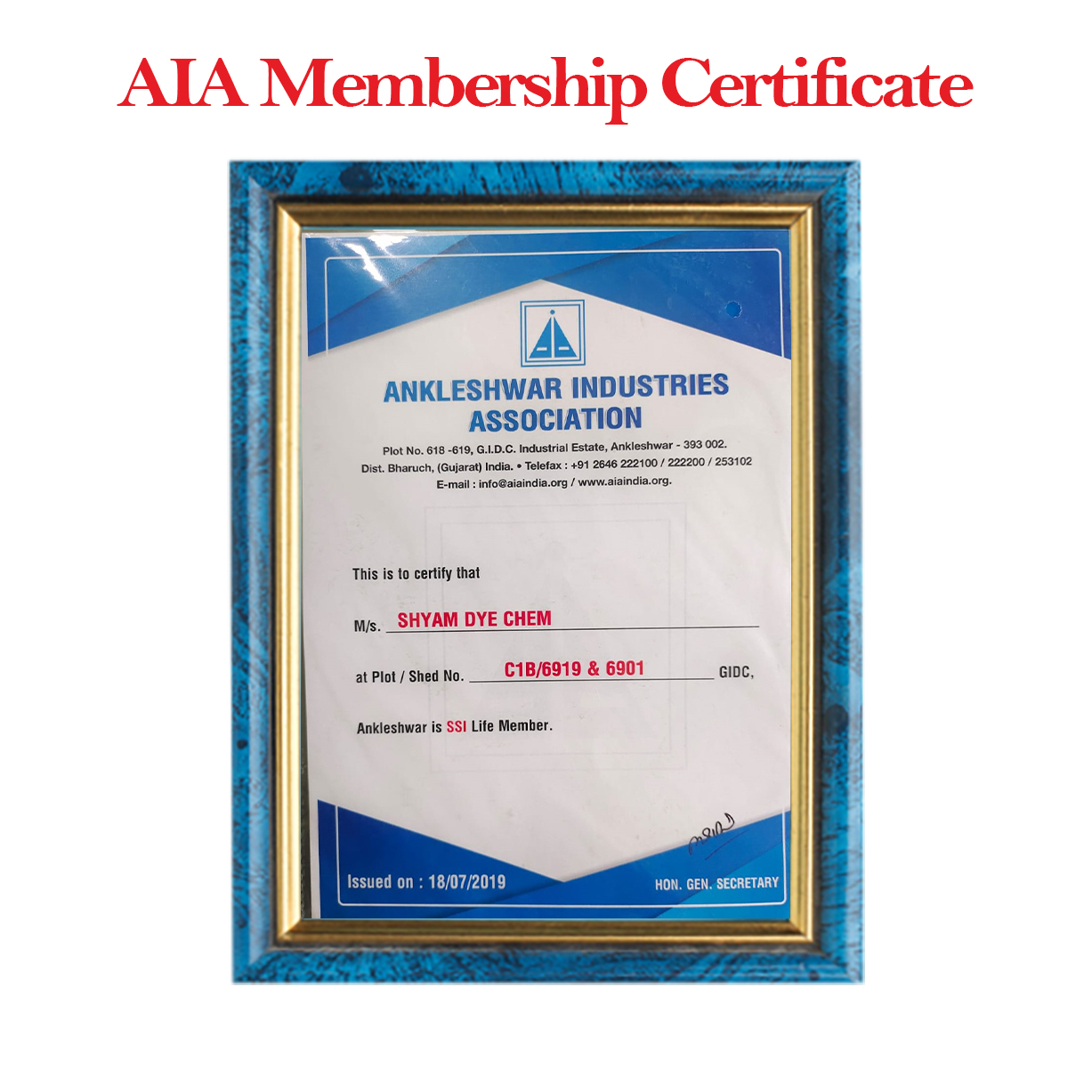 Company Certificate 2