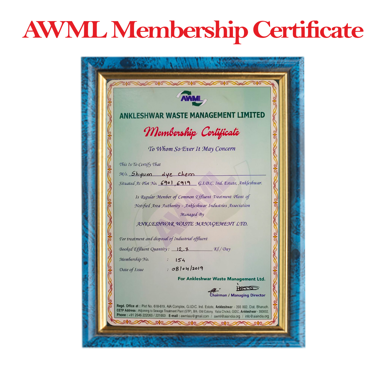 Company Certificate 3