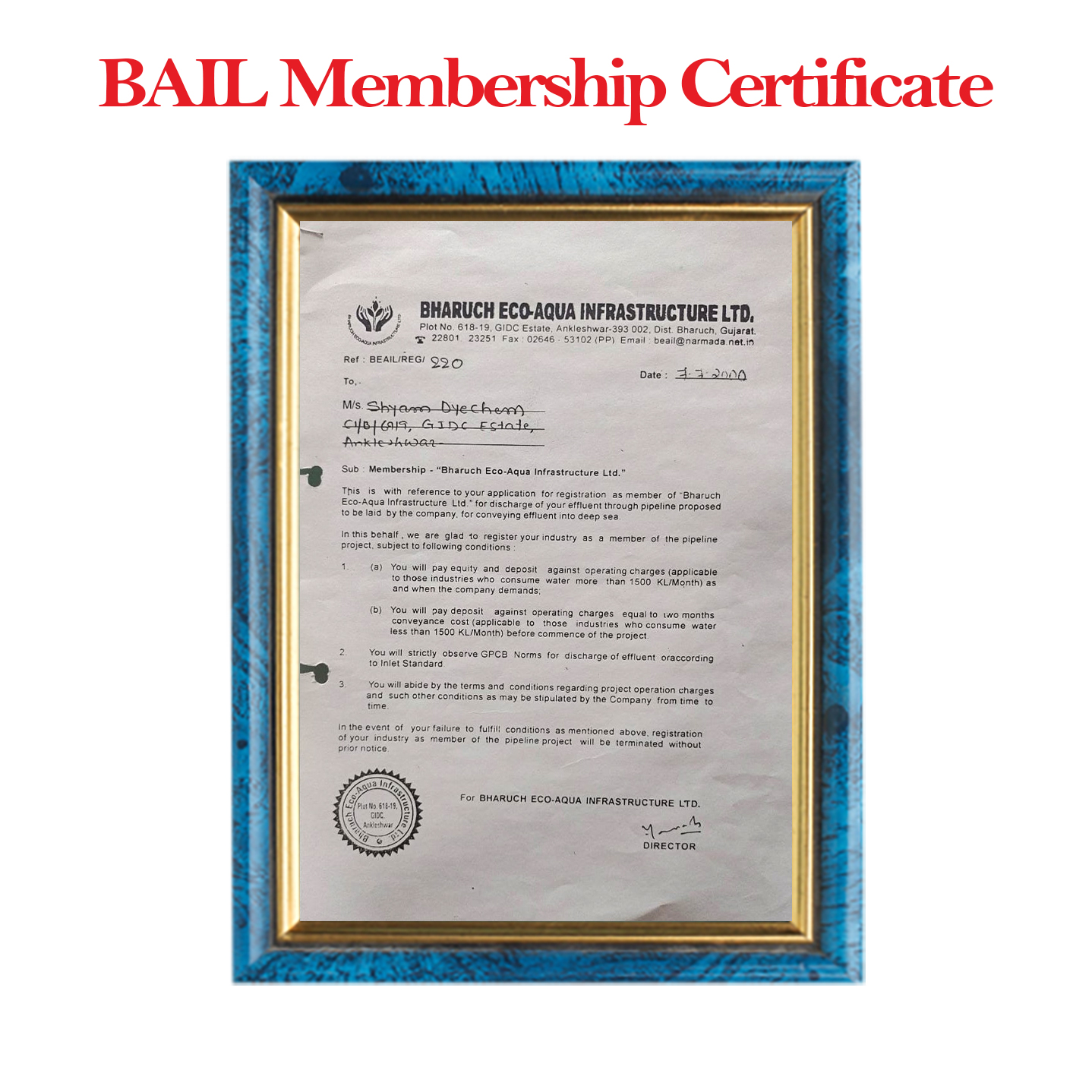 Company Certificate 5