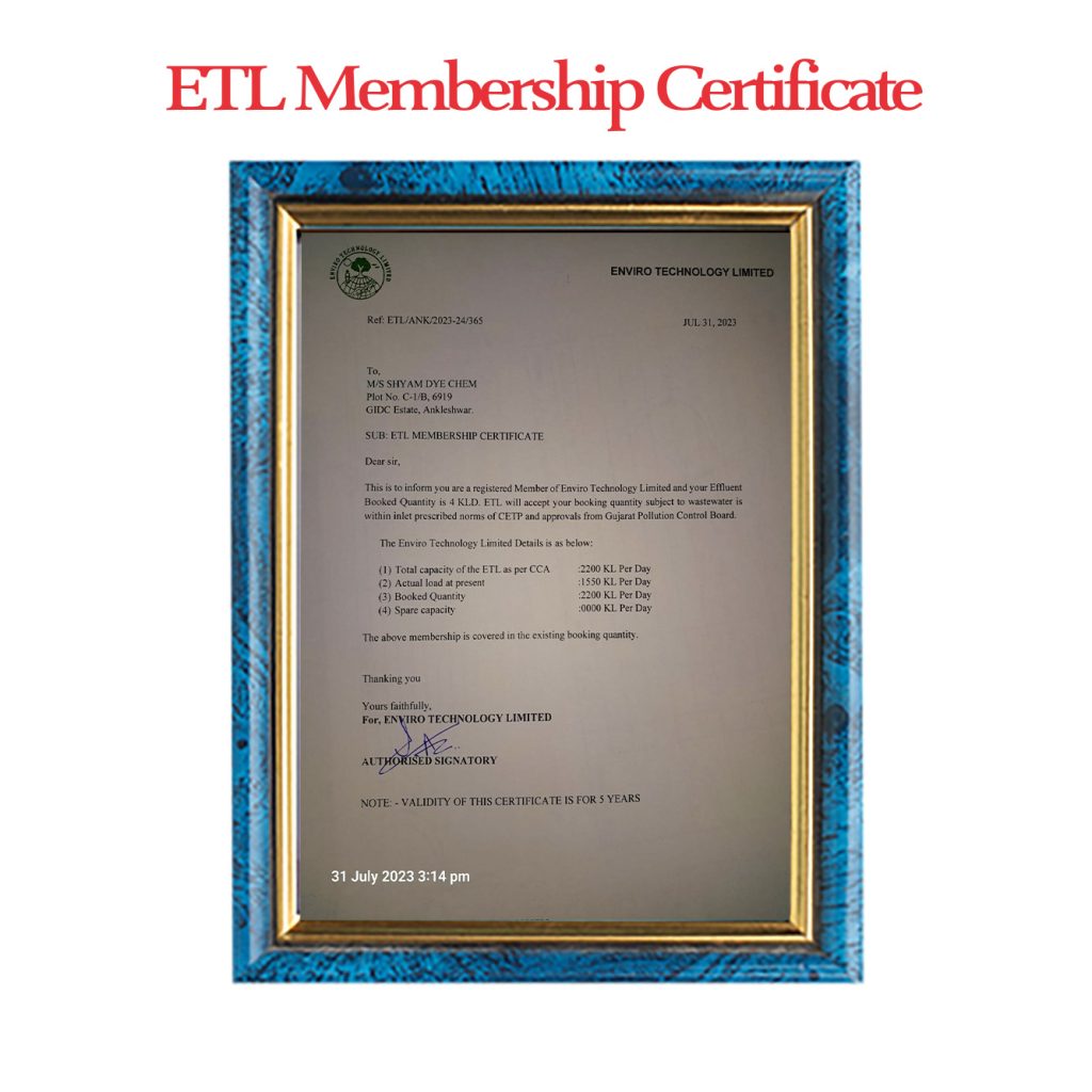 Company Certificate 6