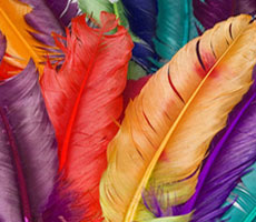reactive-dyes-small